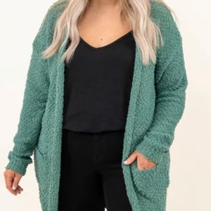 Cardigan - Sage - 1x/2x